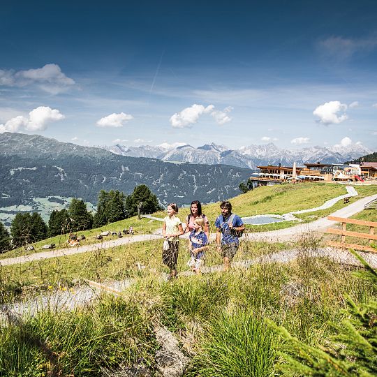 hochzeiger-sommer-zirbenpark-13-cdanielzangerl-2